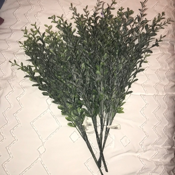 Kirklands Accents Kirklands New Frosted Boxwood Stems Poshmark